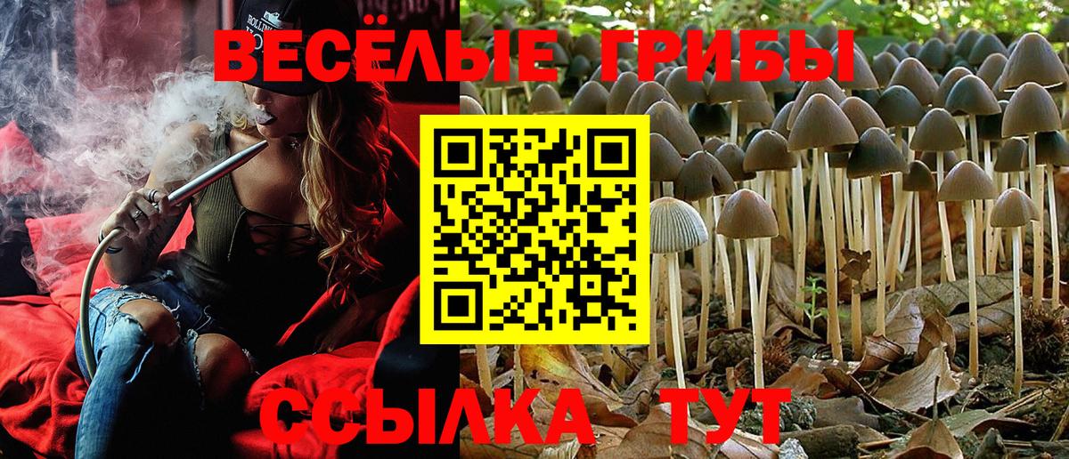 Псилоцибиновые грибы MAGIC MUSHROOMS  Галлюциногенные грибы Magic Shrooms  Отрадный  Вход с VPN 